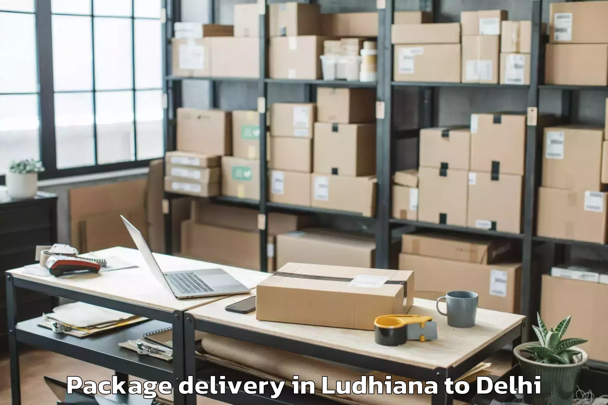 Trusted Ludhiana to Rajouri Garden Package Delivery